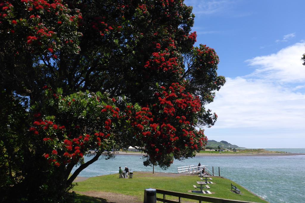 Ocean View Raglan Bed & Breakfast Экстерьер фото