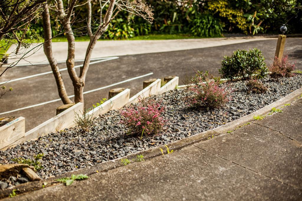Ocean View Raglan Bed & Breakfast Экстерьер фото